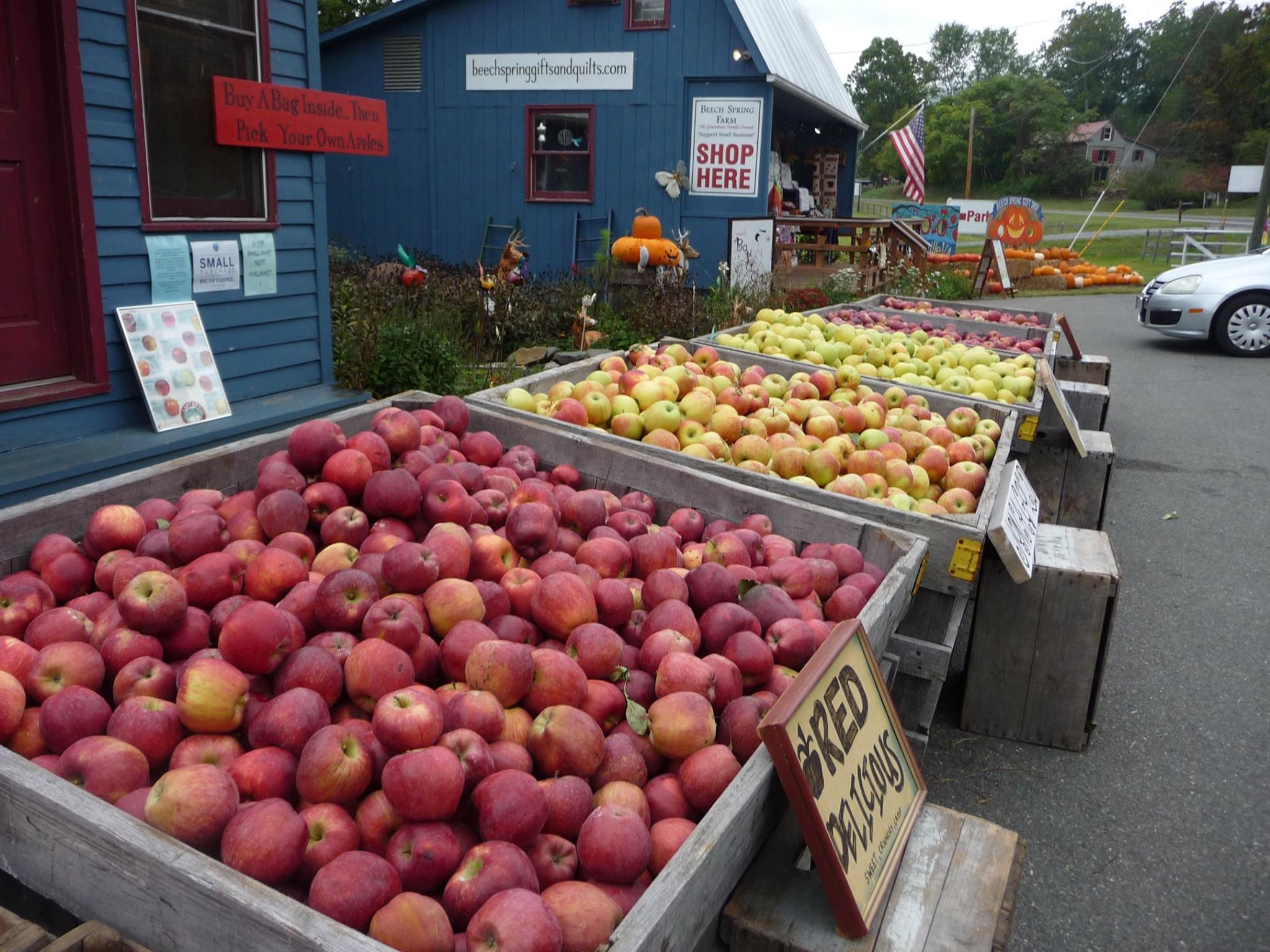 Beech Spring Gift Shop