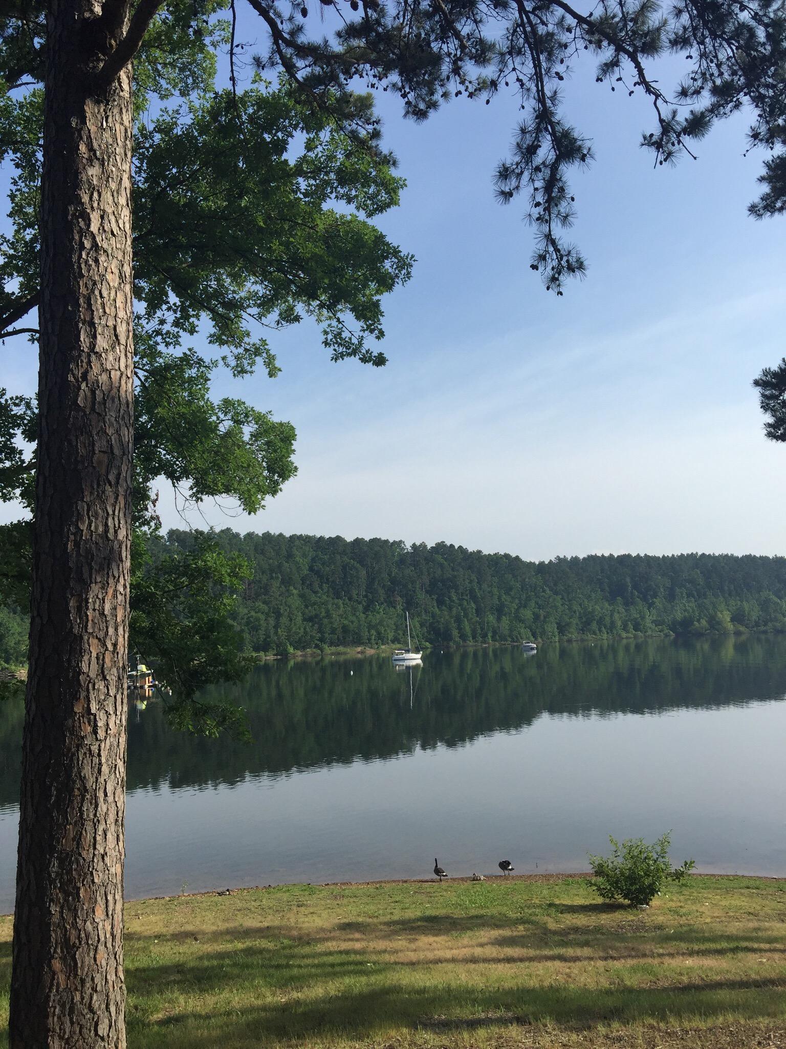 Lake Ouachita State Park