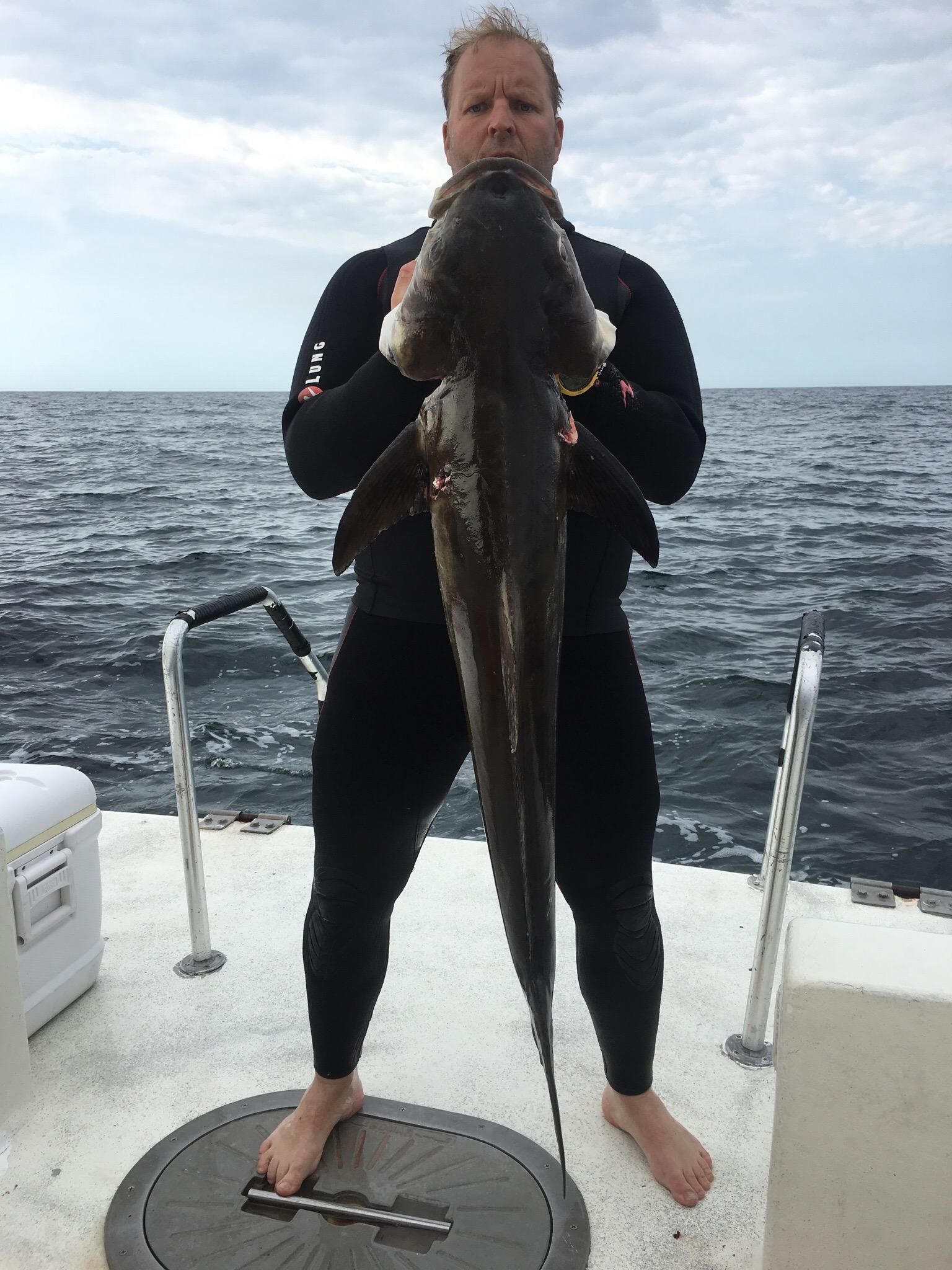 Offshore Dive Charters