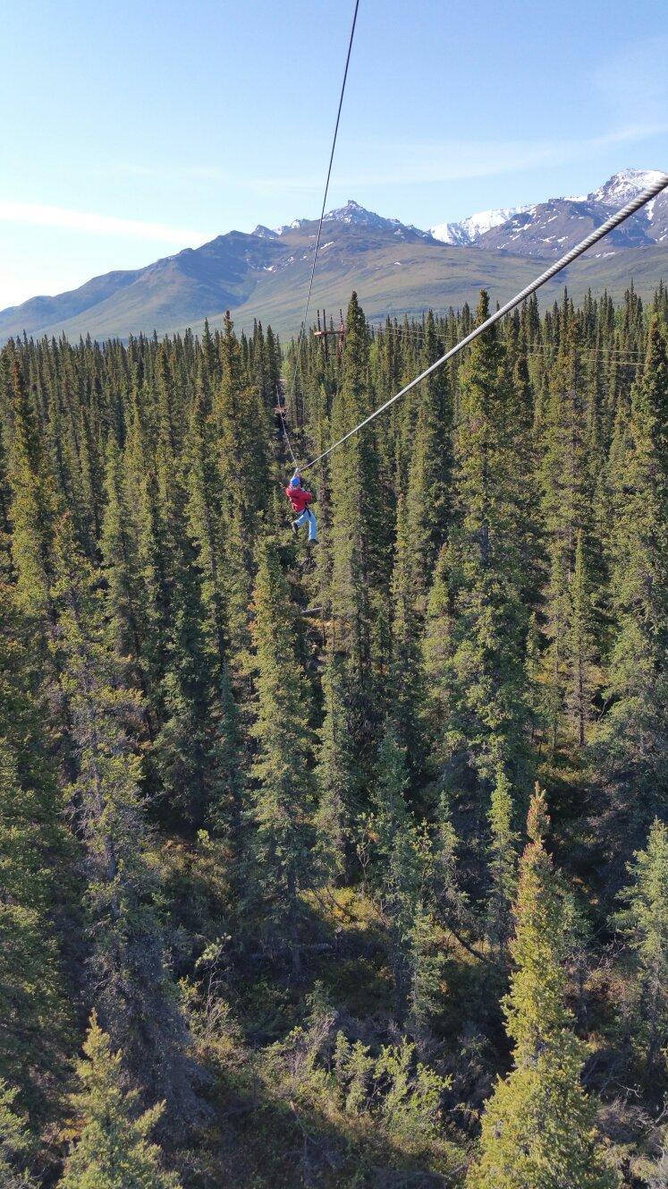 Denali Park Zipline