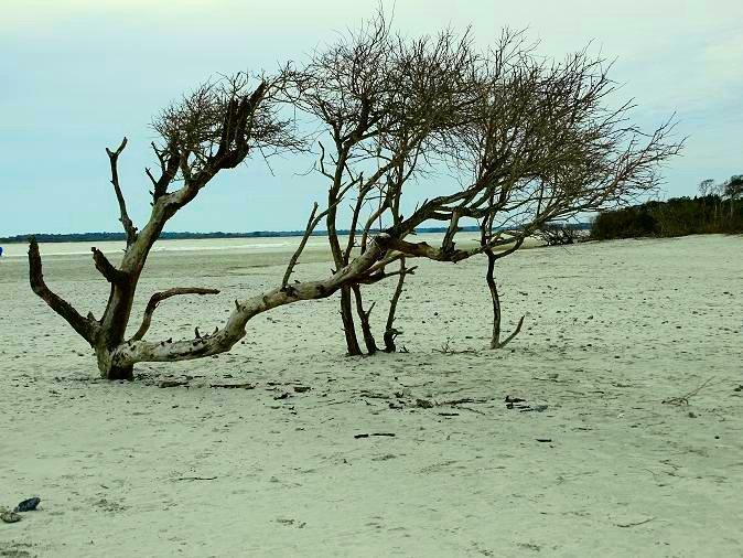 Folly Beach County Park