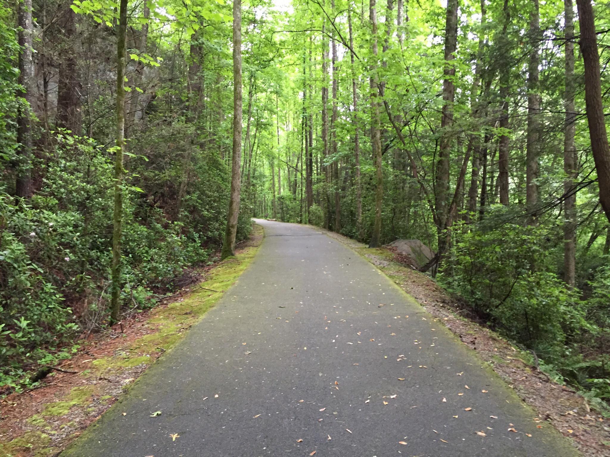 Shortline Trail (Tallulah Falls Rail-Trail)