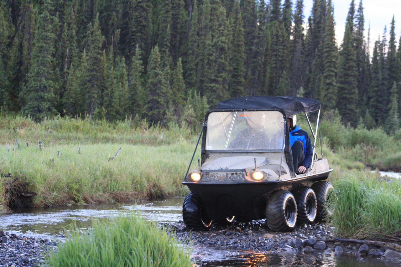 Denali Tundra Tours