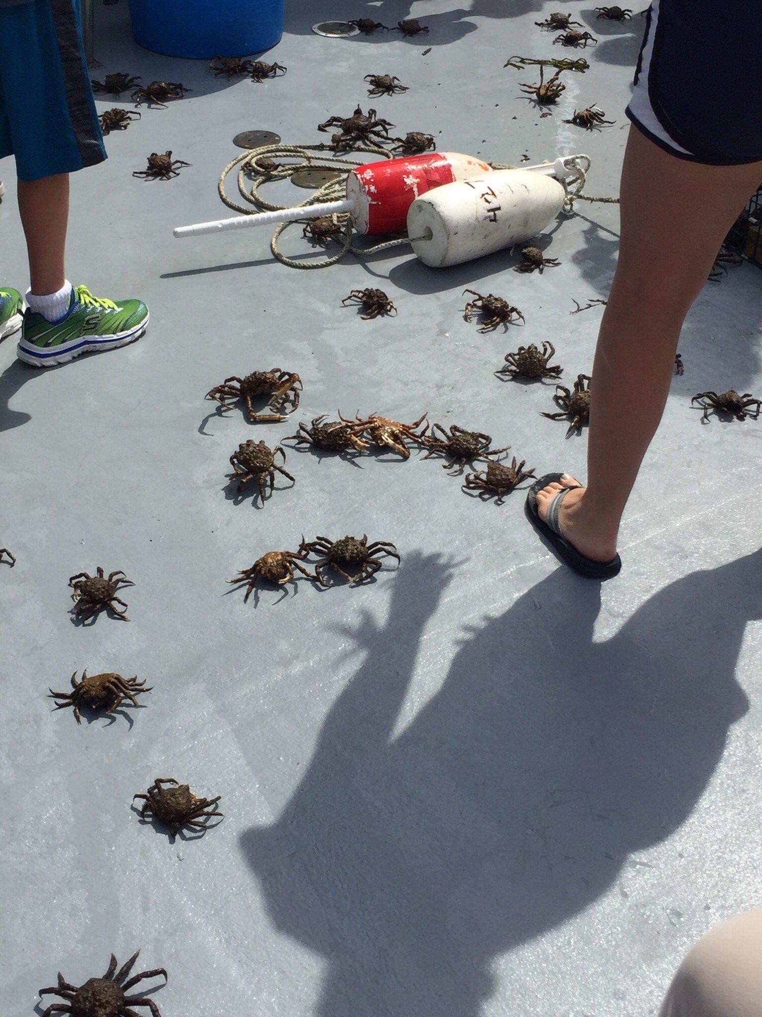 Cap'n Kids Fishing Adventures