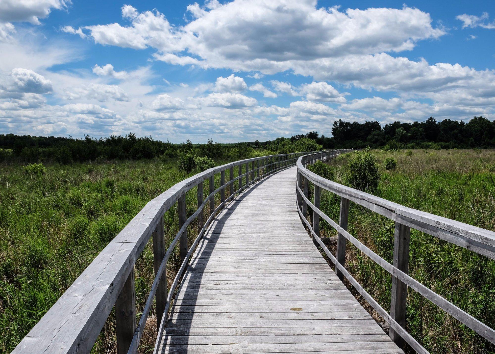 Cooper Marsh Conservation Area