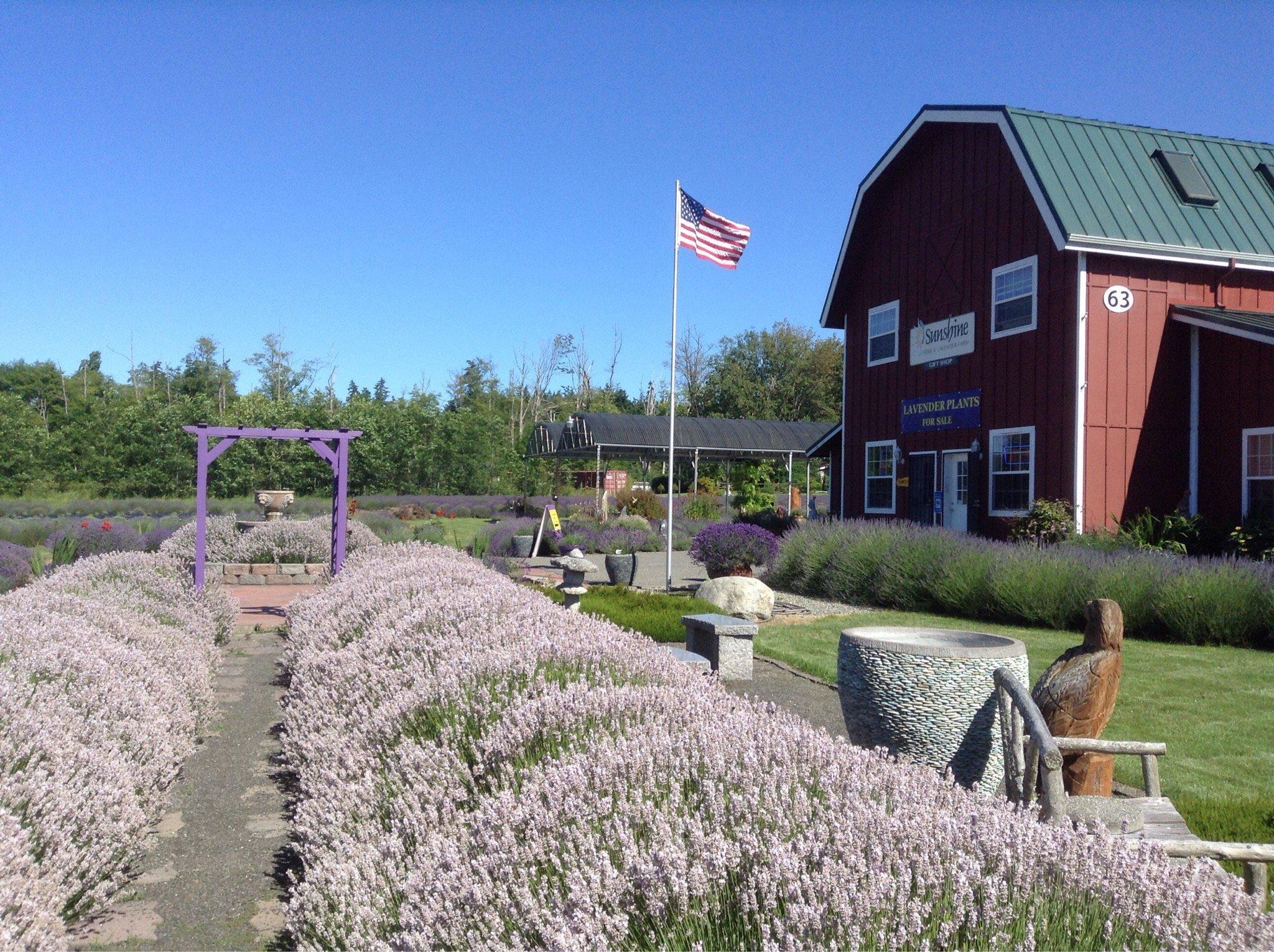 Sunshine Herb & Lavender Farm