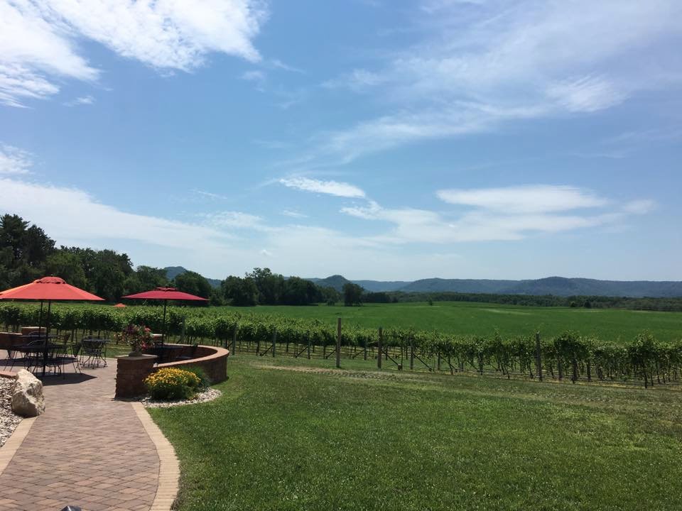 Elmaro Vineyard