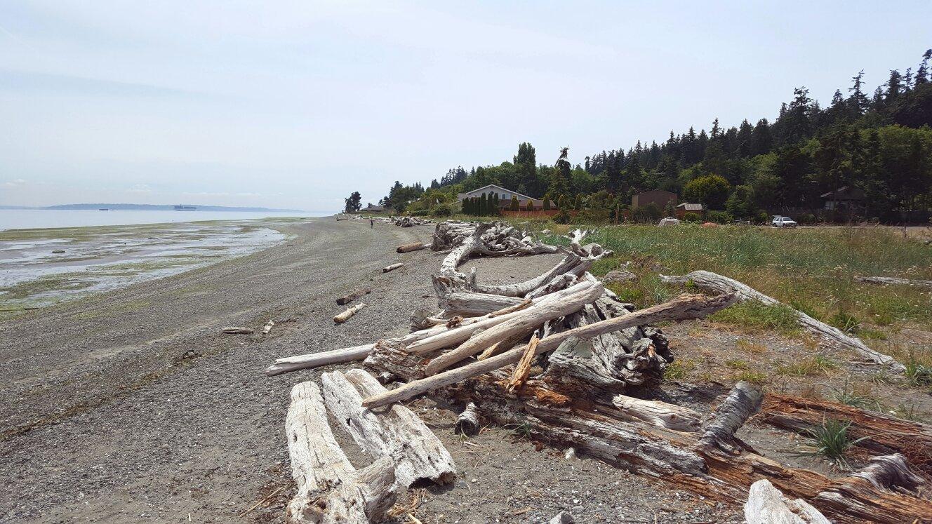 Fay Bainbridge Park