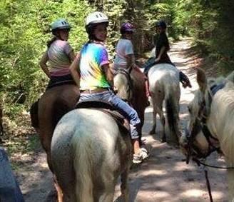 Maple Ridge Stables