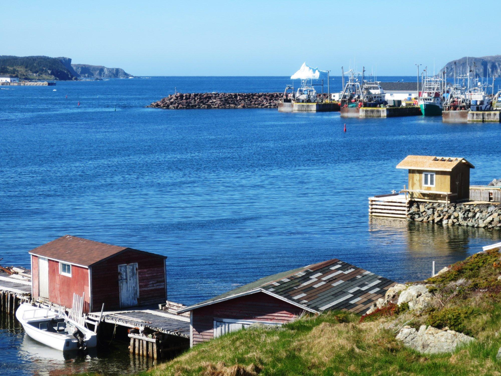 Iceberg Alley Bed & Breakfast