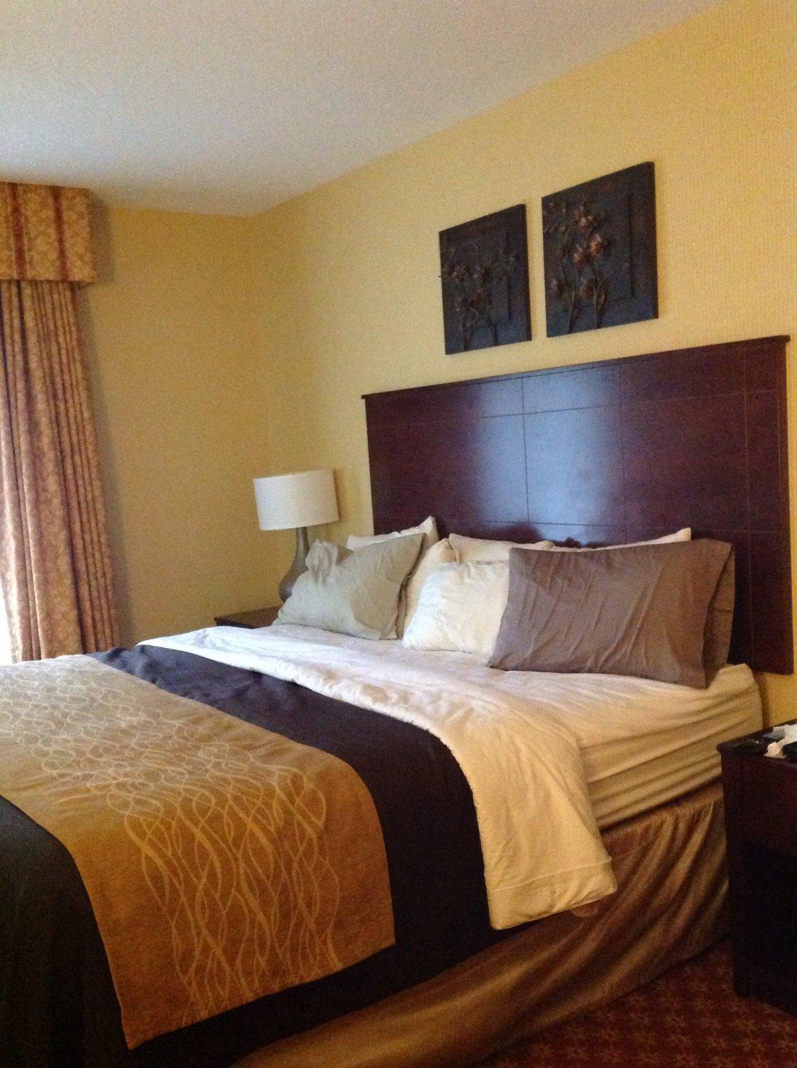 Comfort Inn Naugatuck-Shelton, CT