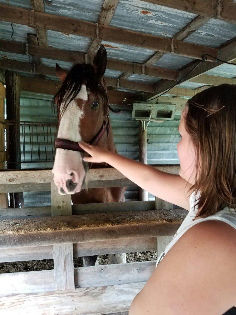 The Funny Farm Petting Zoo