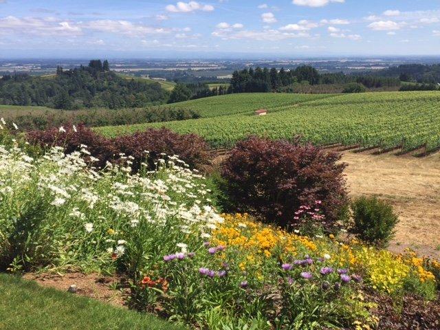 Methven Family Vineyards