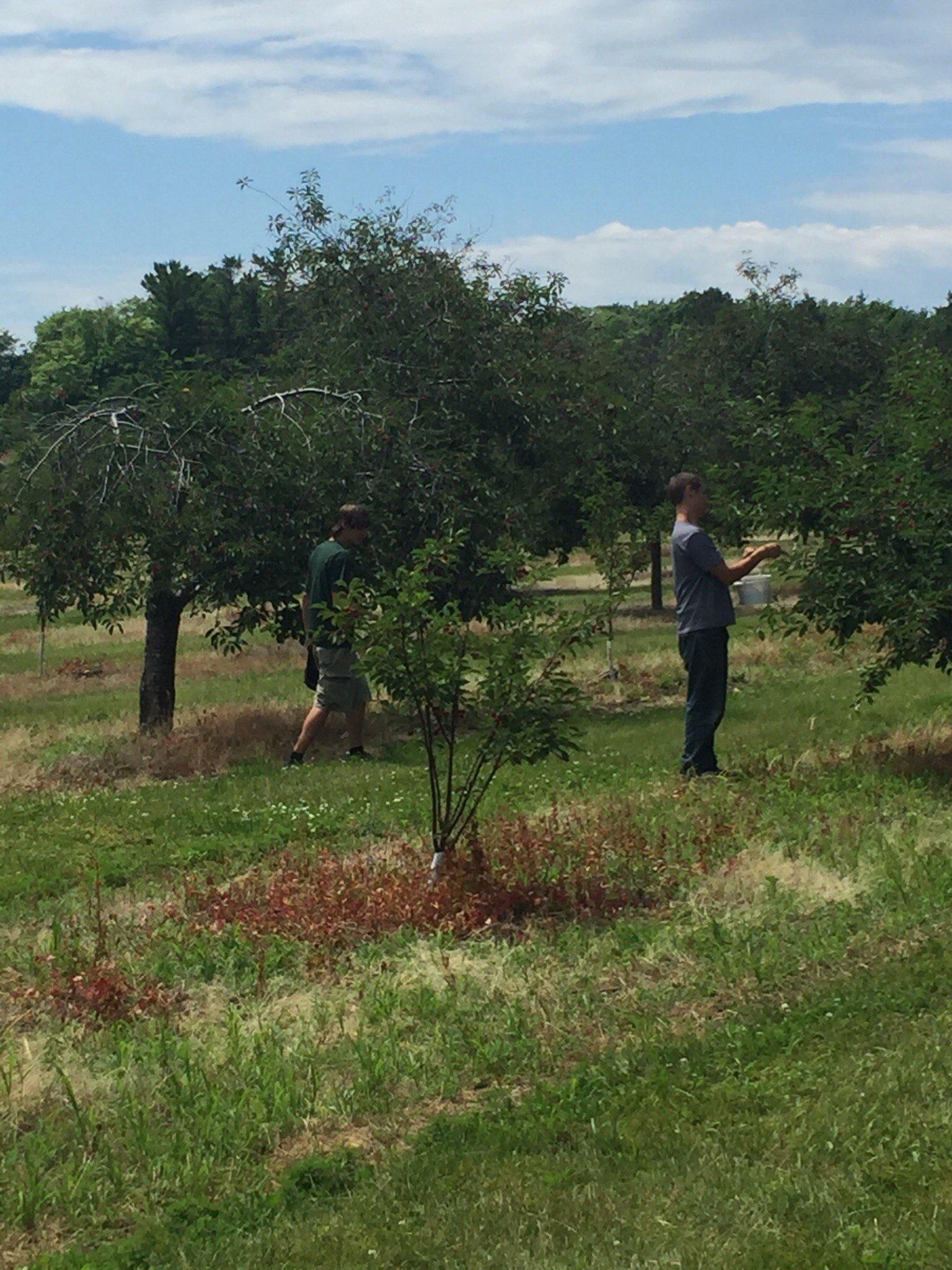 Hyline Orchard Farm Market