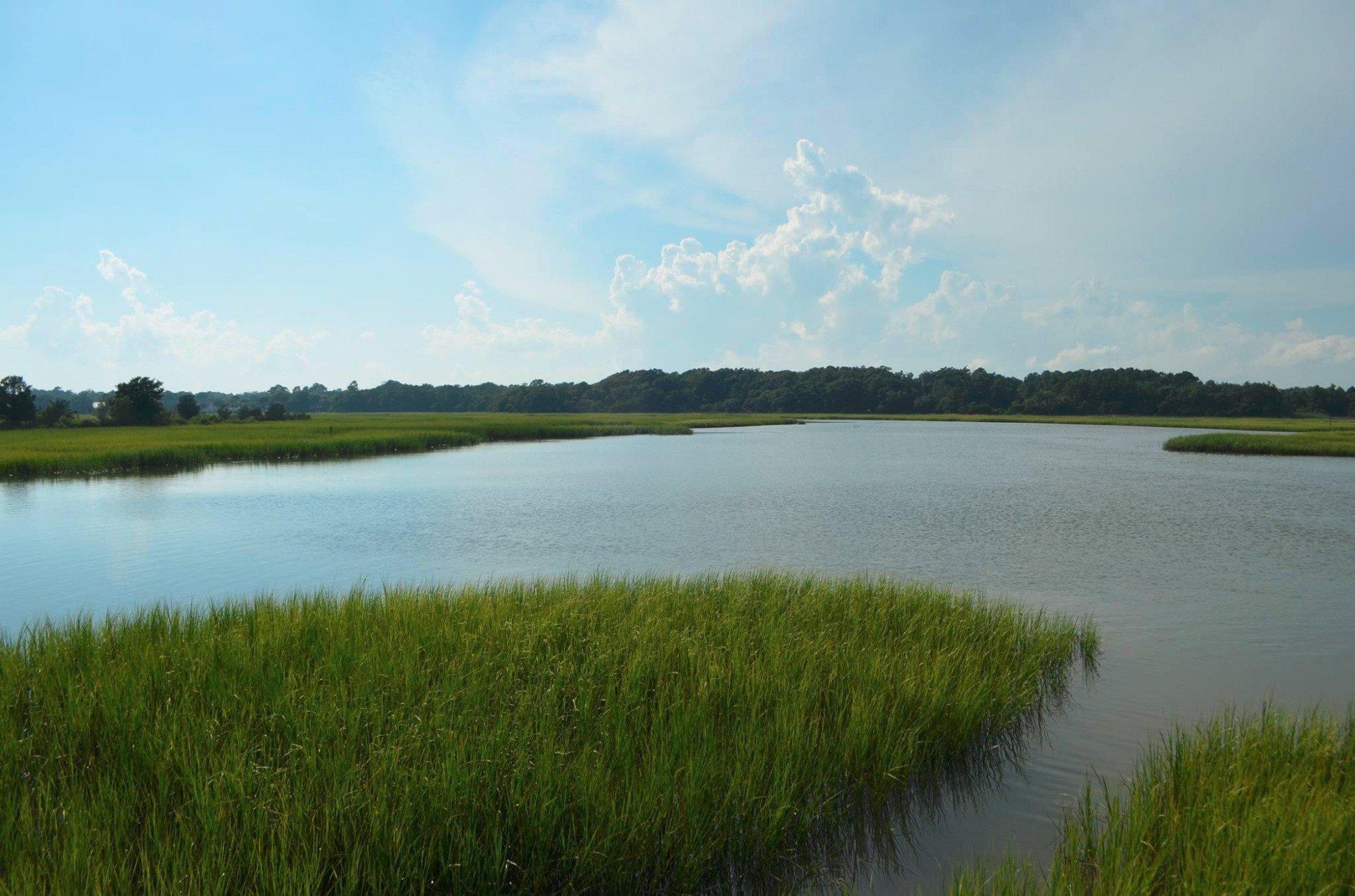 Russell Burgess Coastal Preserve