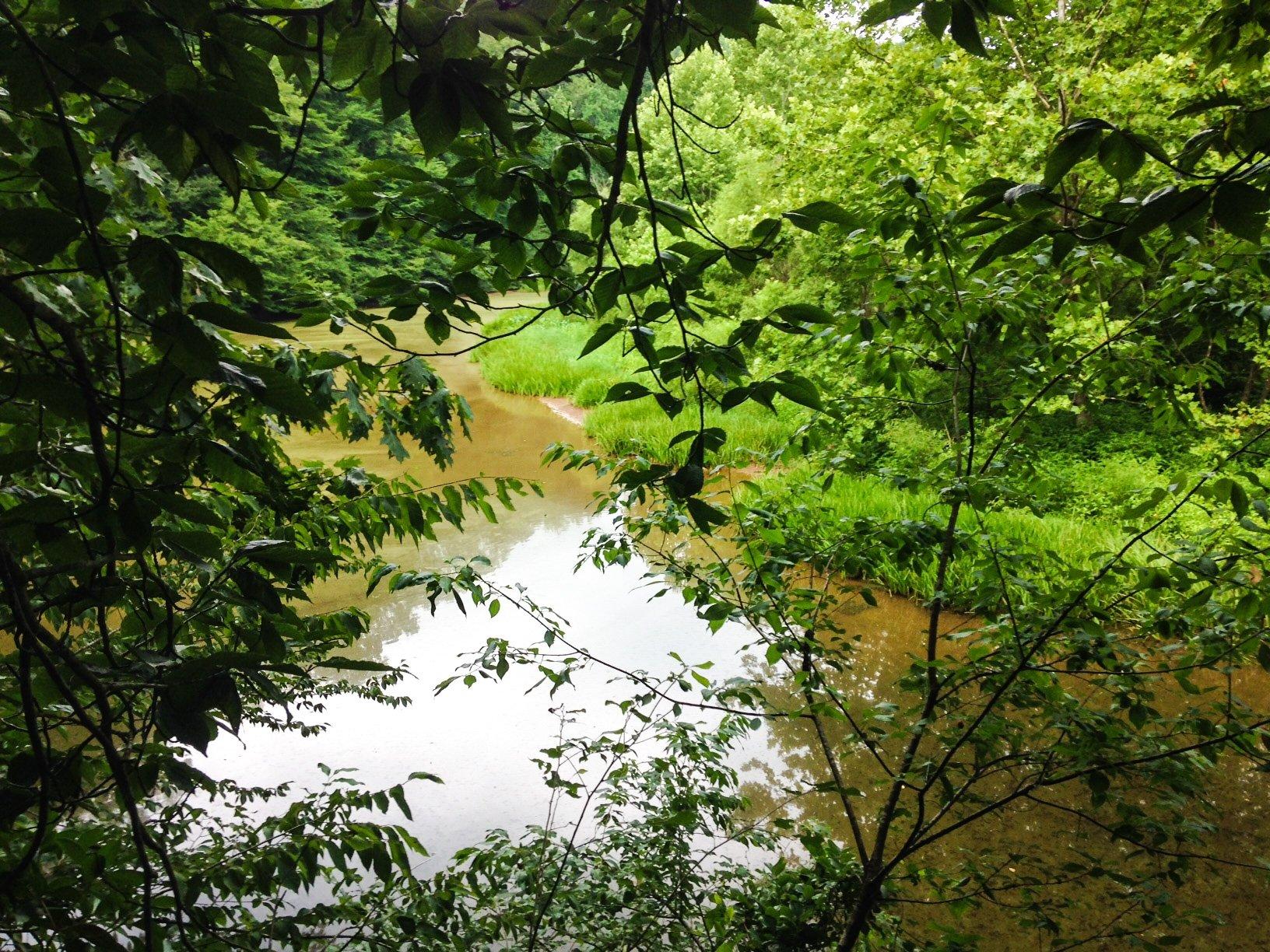 Ivy Creek Natural Area