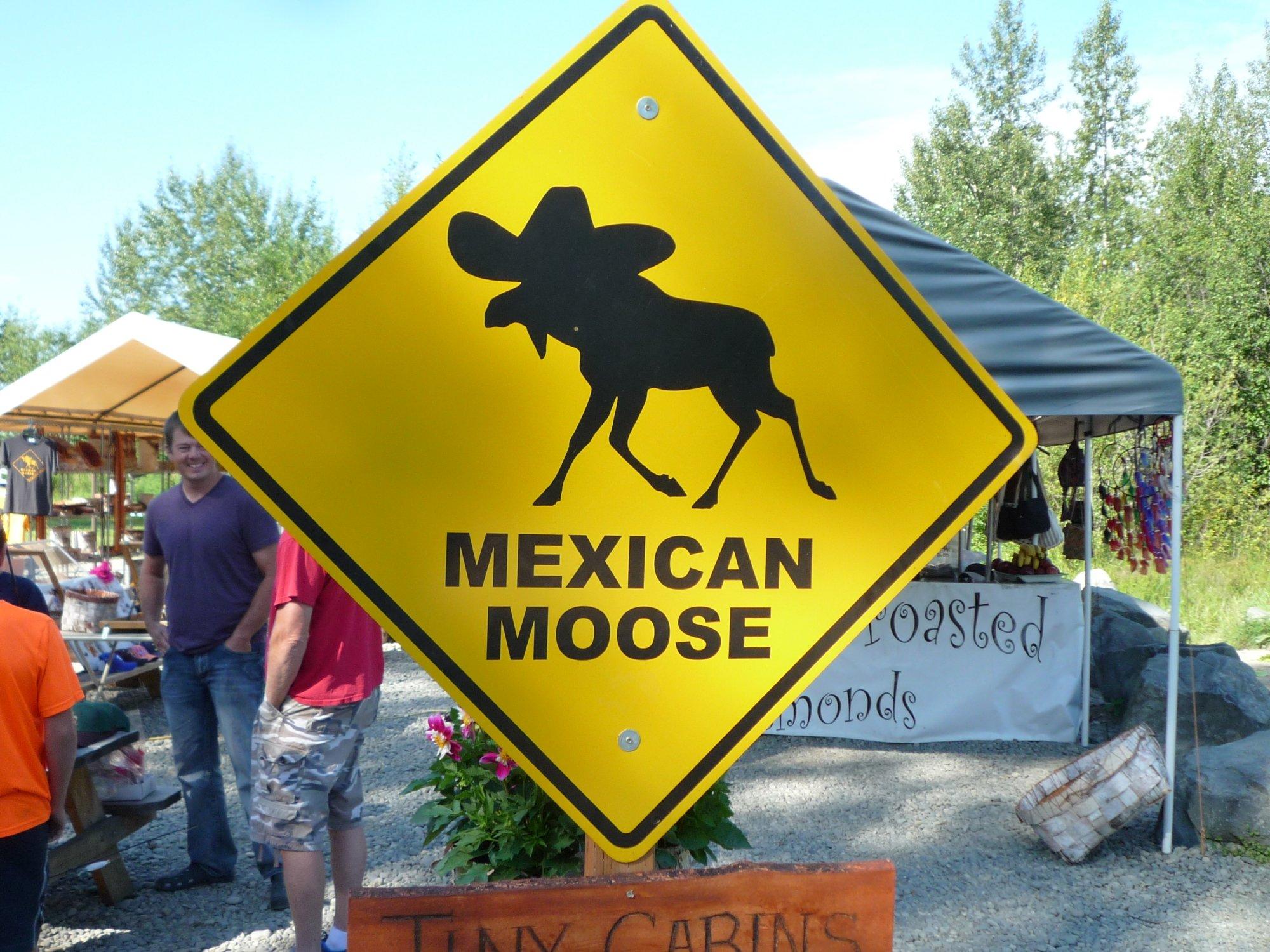 Mexican Moose