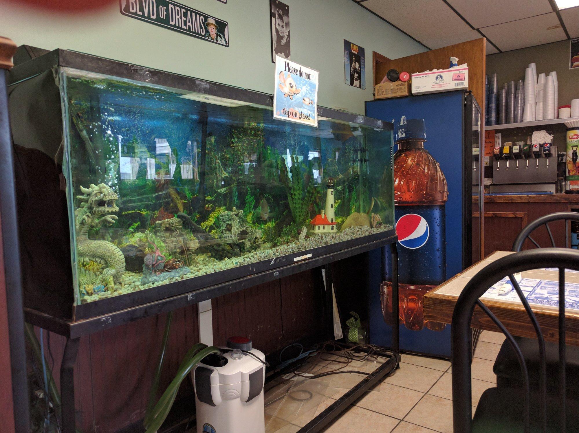 Varney's Coney Island Cafe