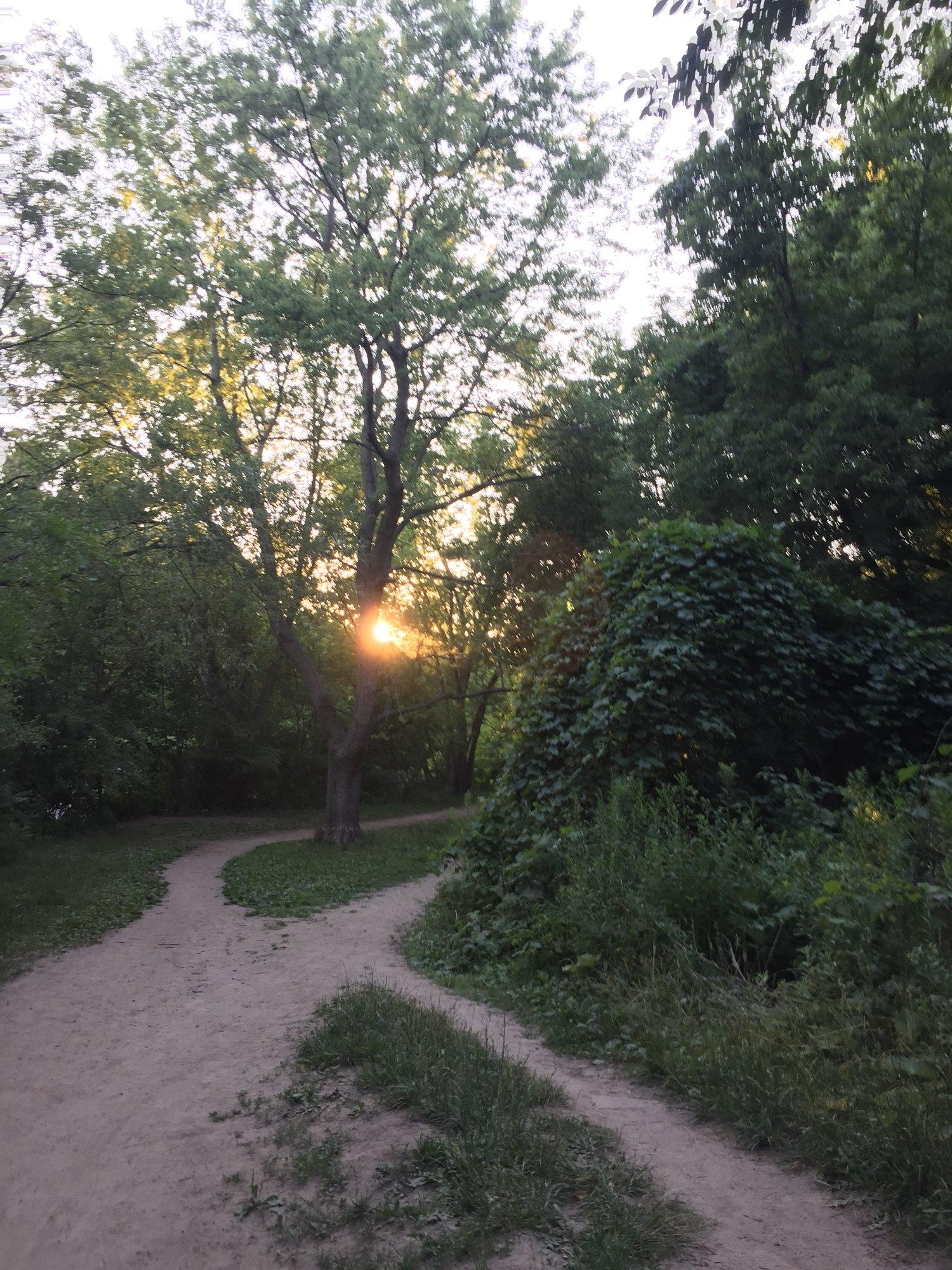 Taylor Creek Trail