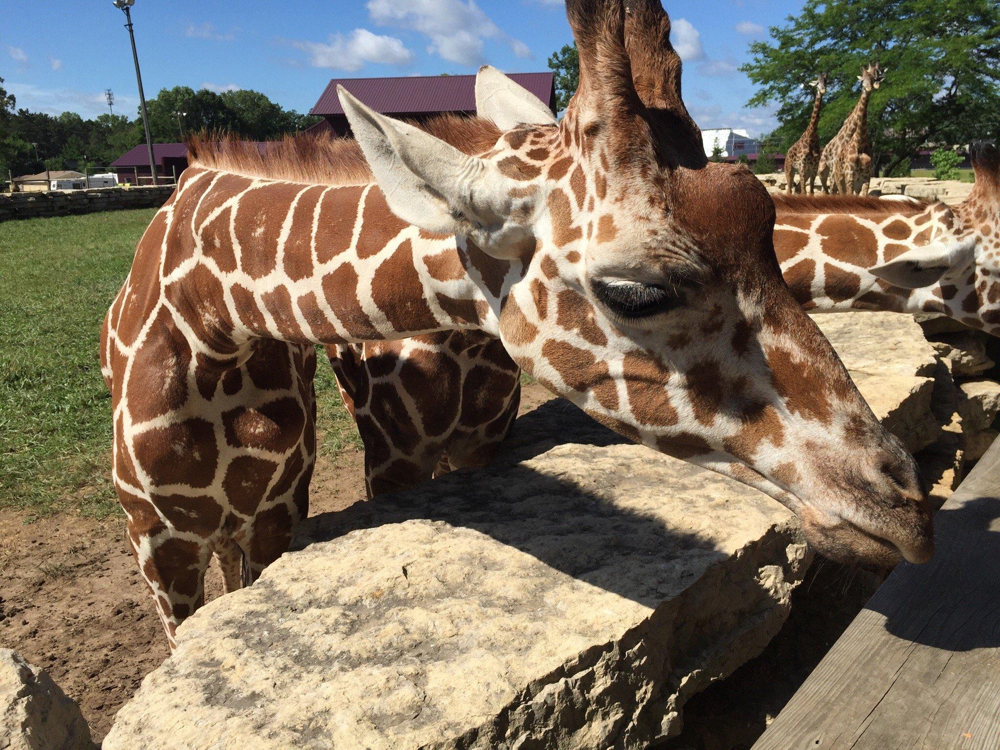 Timbavati Wildlife Park