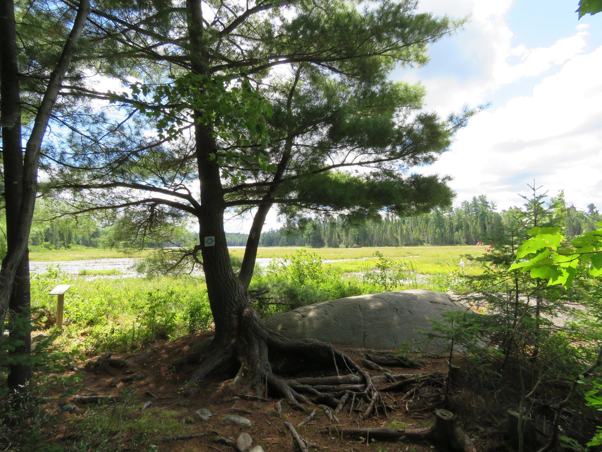 Marten River Provincial Park