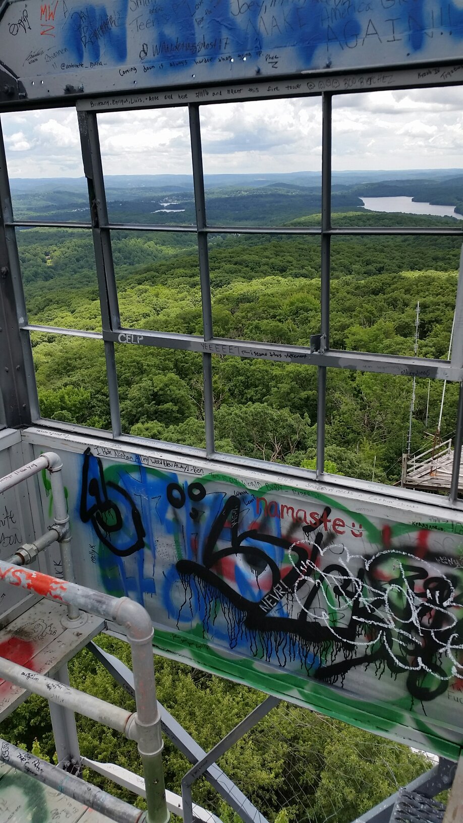 Mt. Ninham Fire Tower