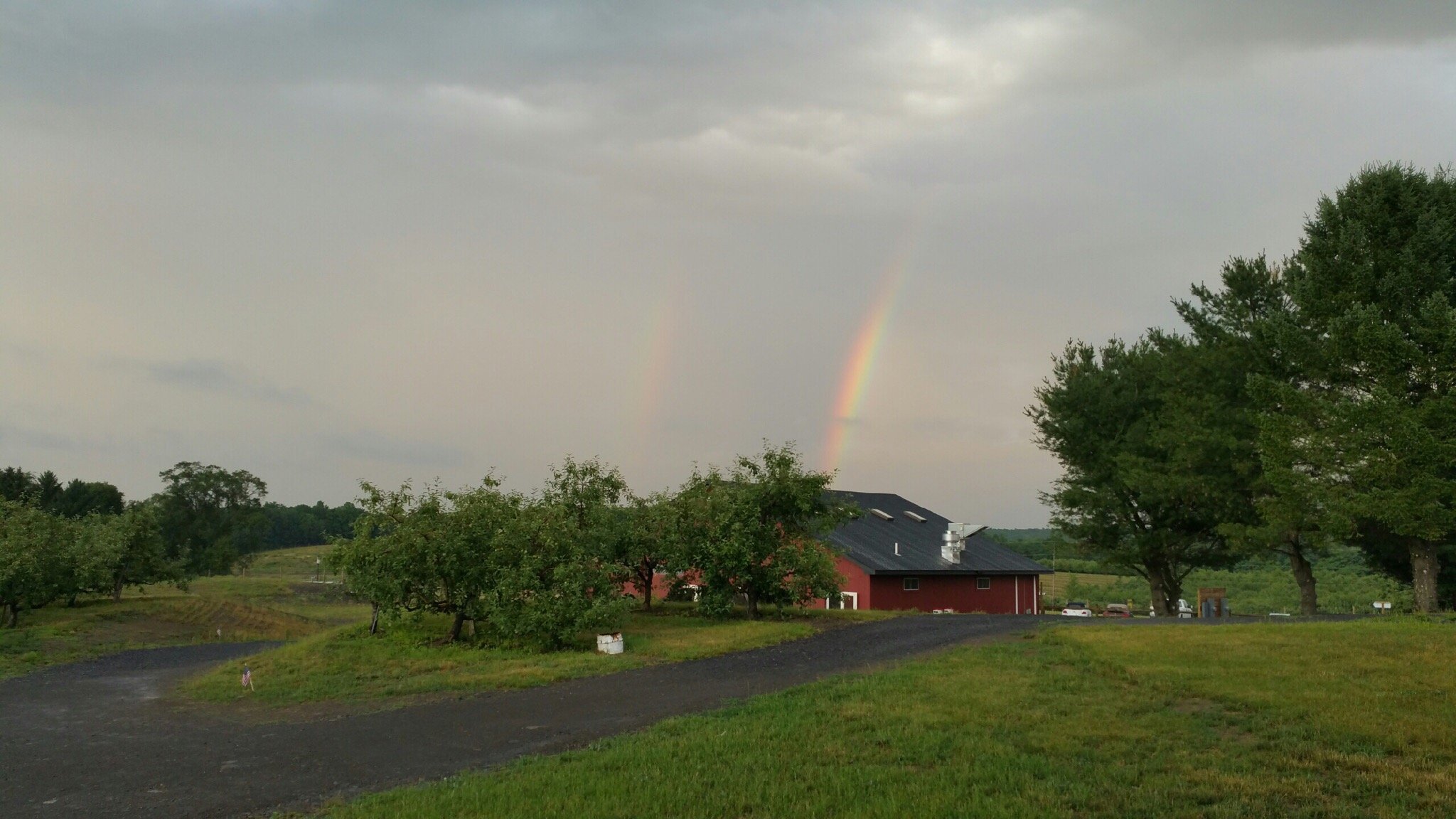 Twin Star Orchards