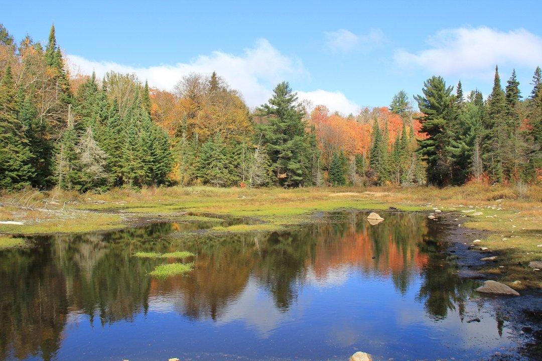 Mizzy Lake Trail