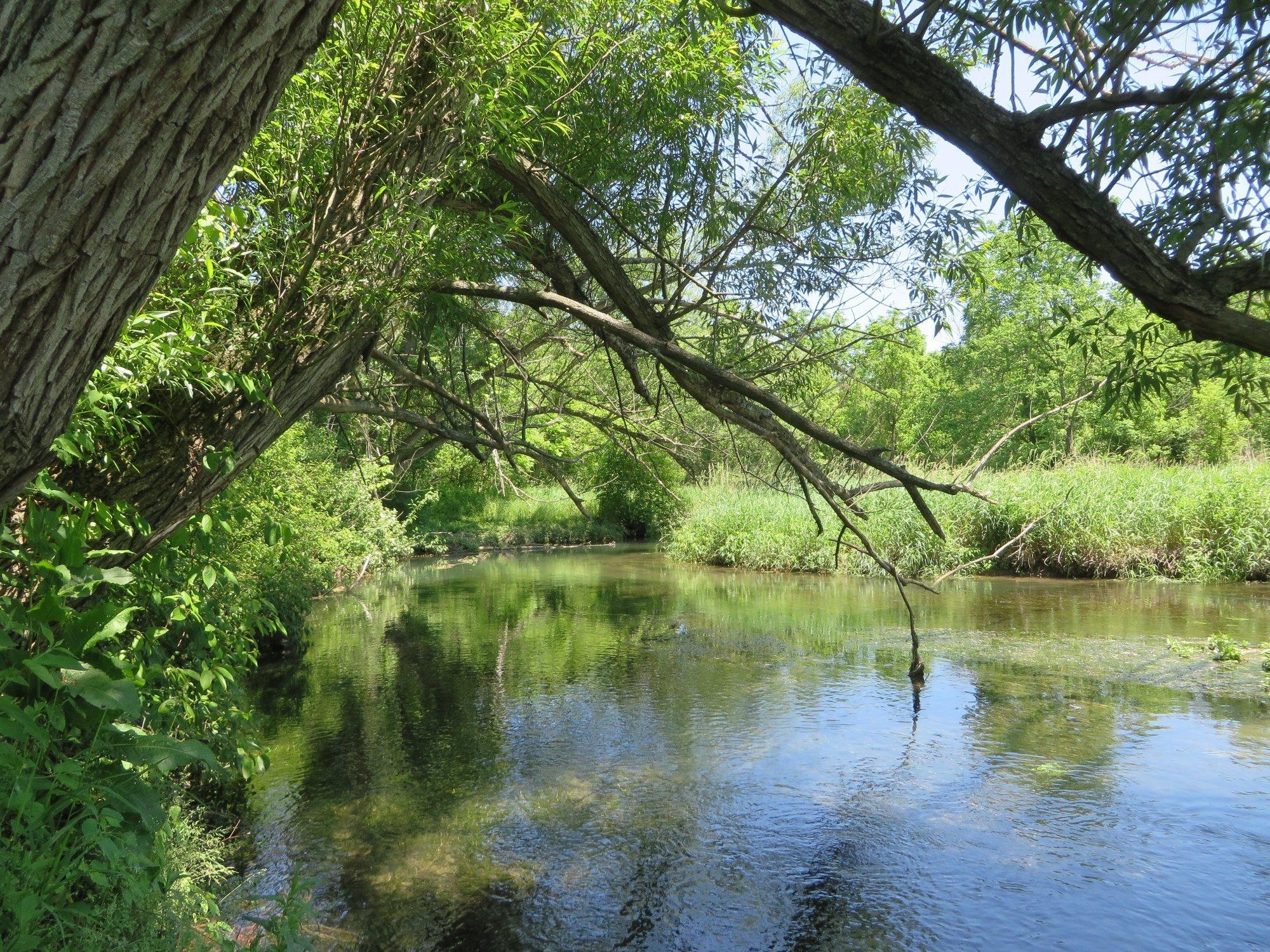 Millbrook Marsh Nature Center