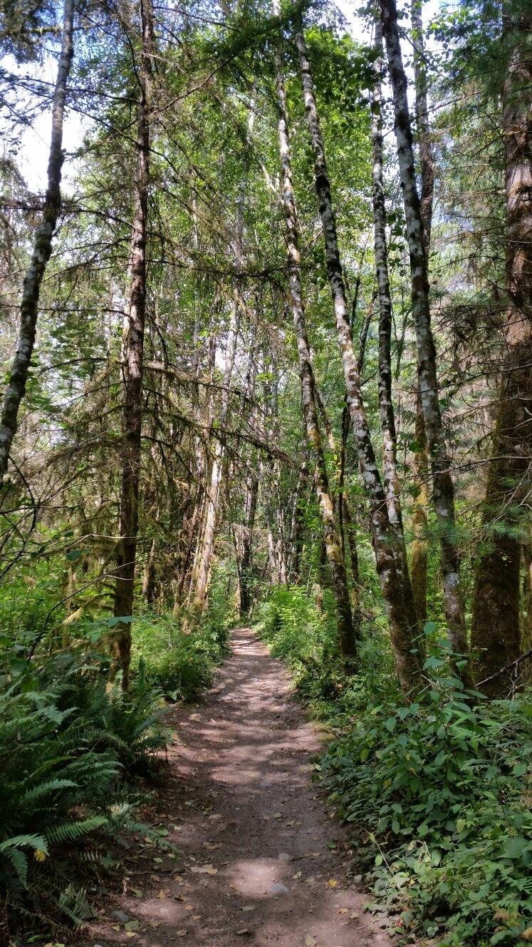 Paradise Valley Conservation Area