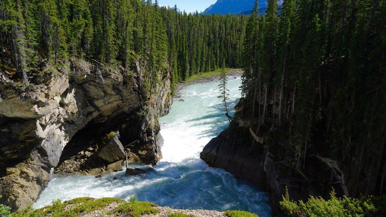 Sunwapta Falls and Canyon