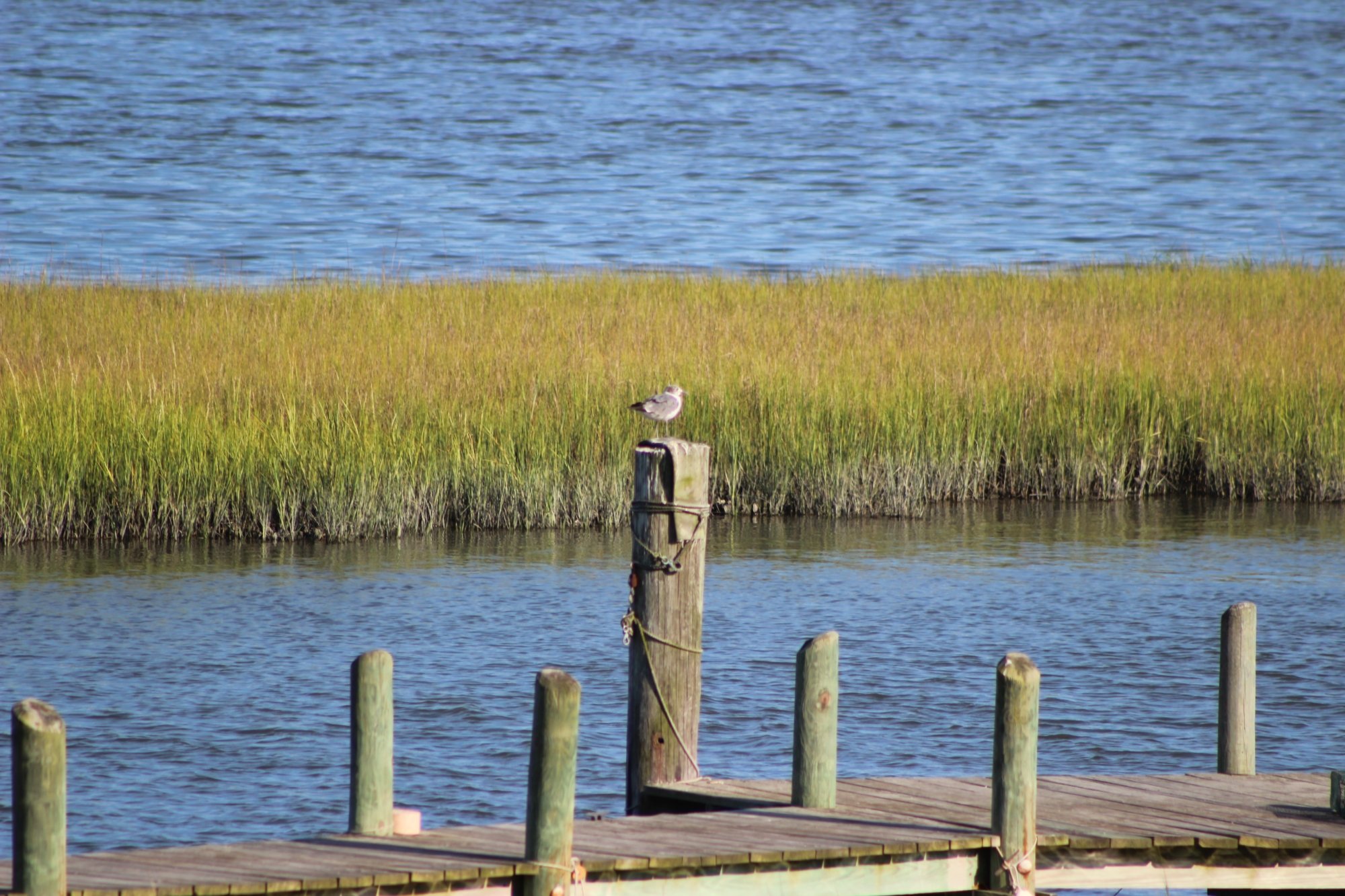 Cedar Gables Seaside Inn