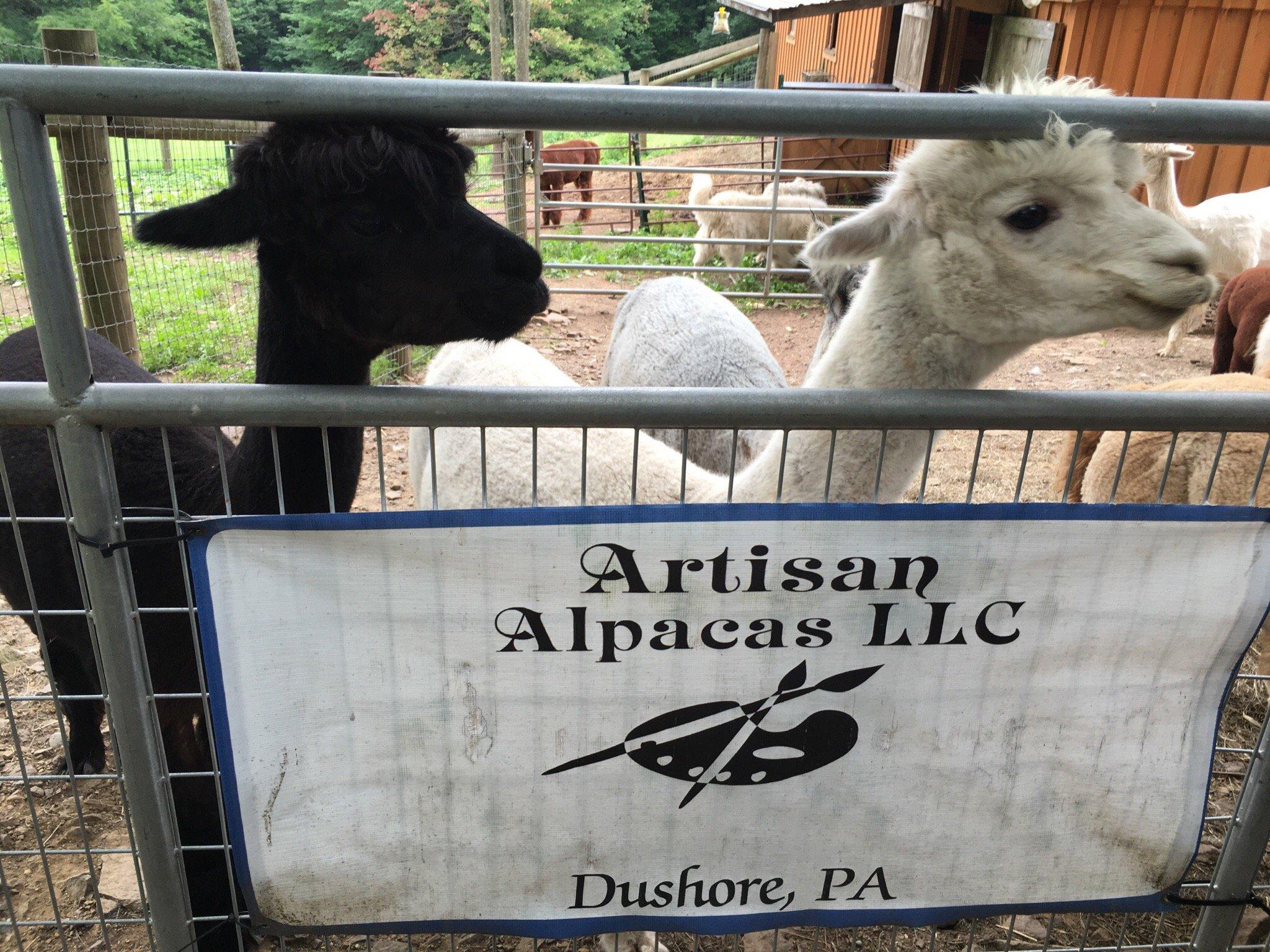 Artisan Alpacas