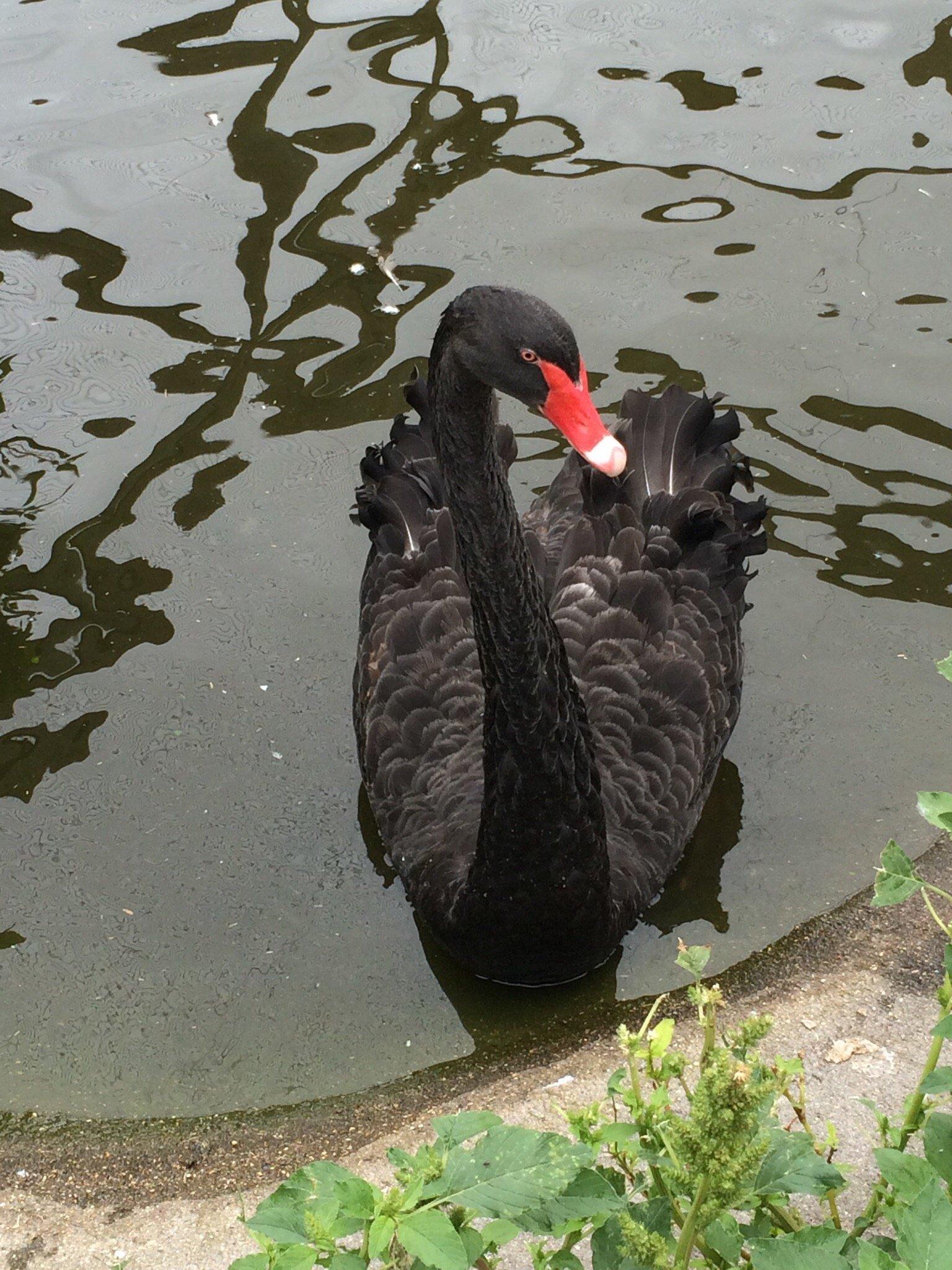 Chahinkapa Zoo