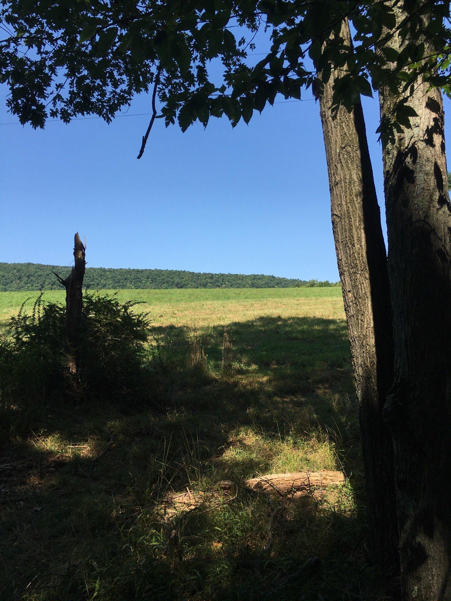 Daisy Field Farm