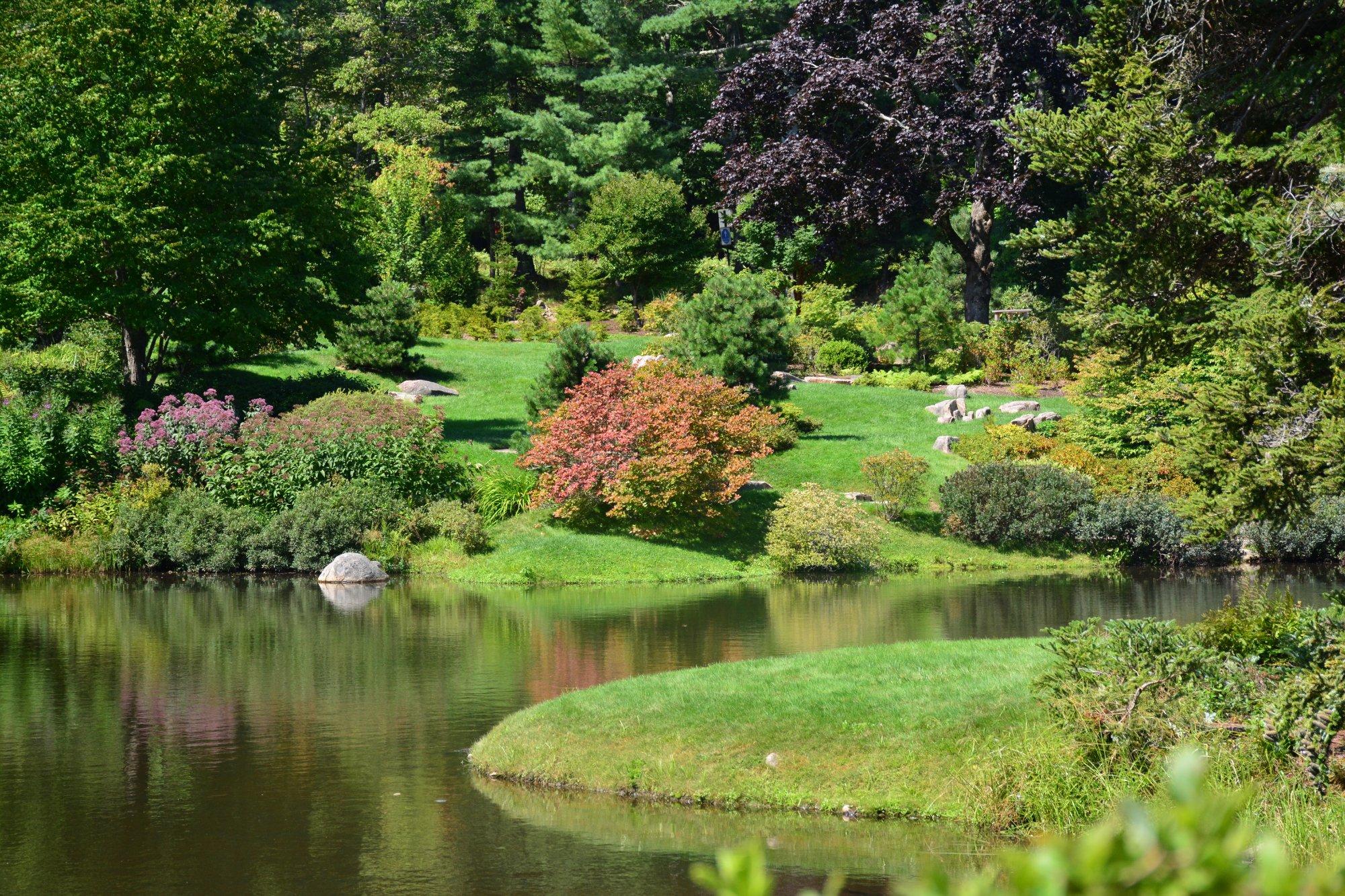 Asticou Azalea Garden