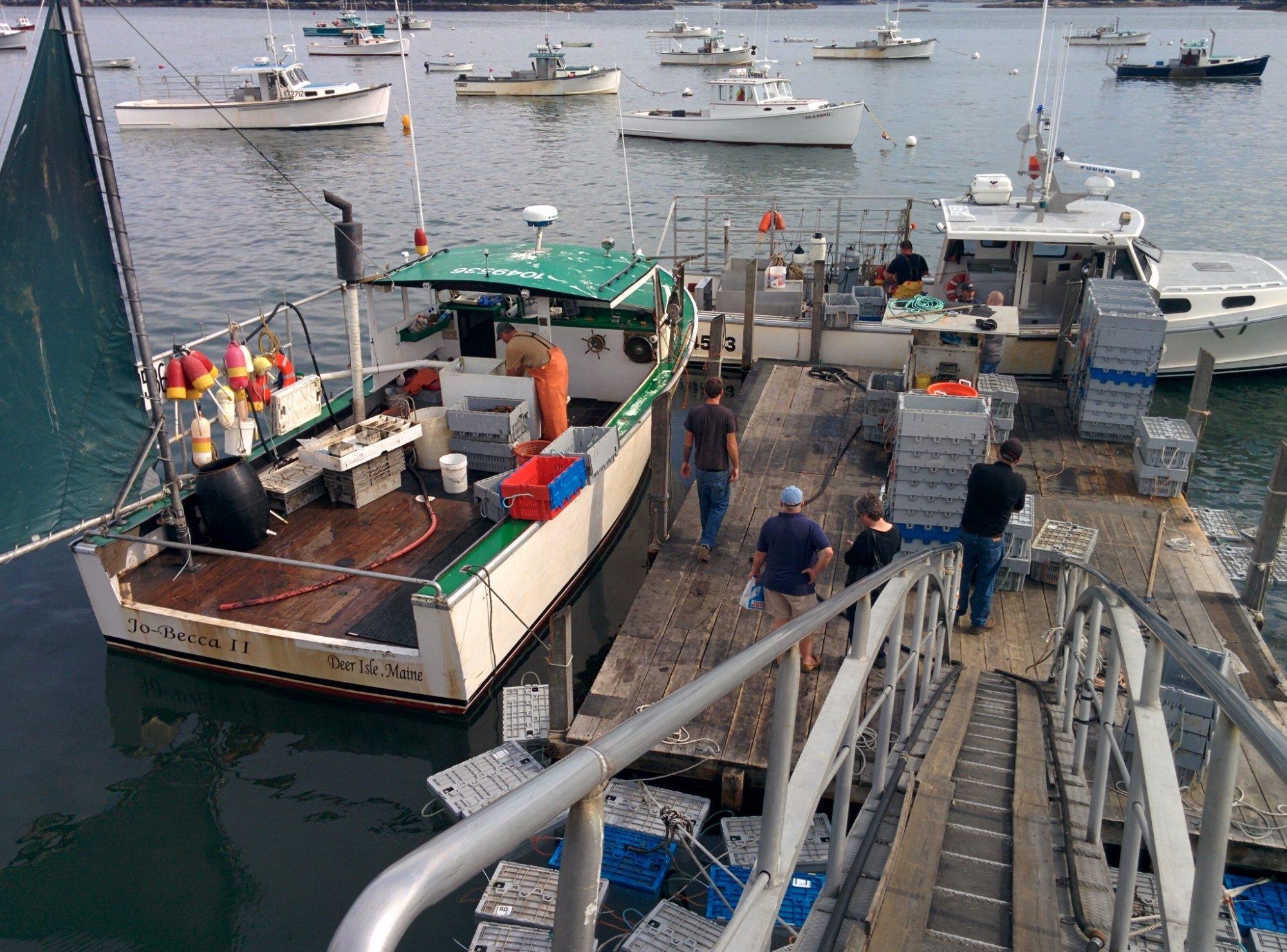 Stonington Lobster Co-Op