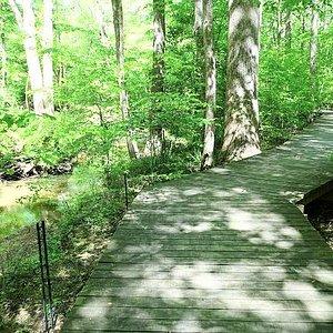 Hemlock Bluffs Nature Preserve