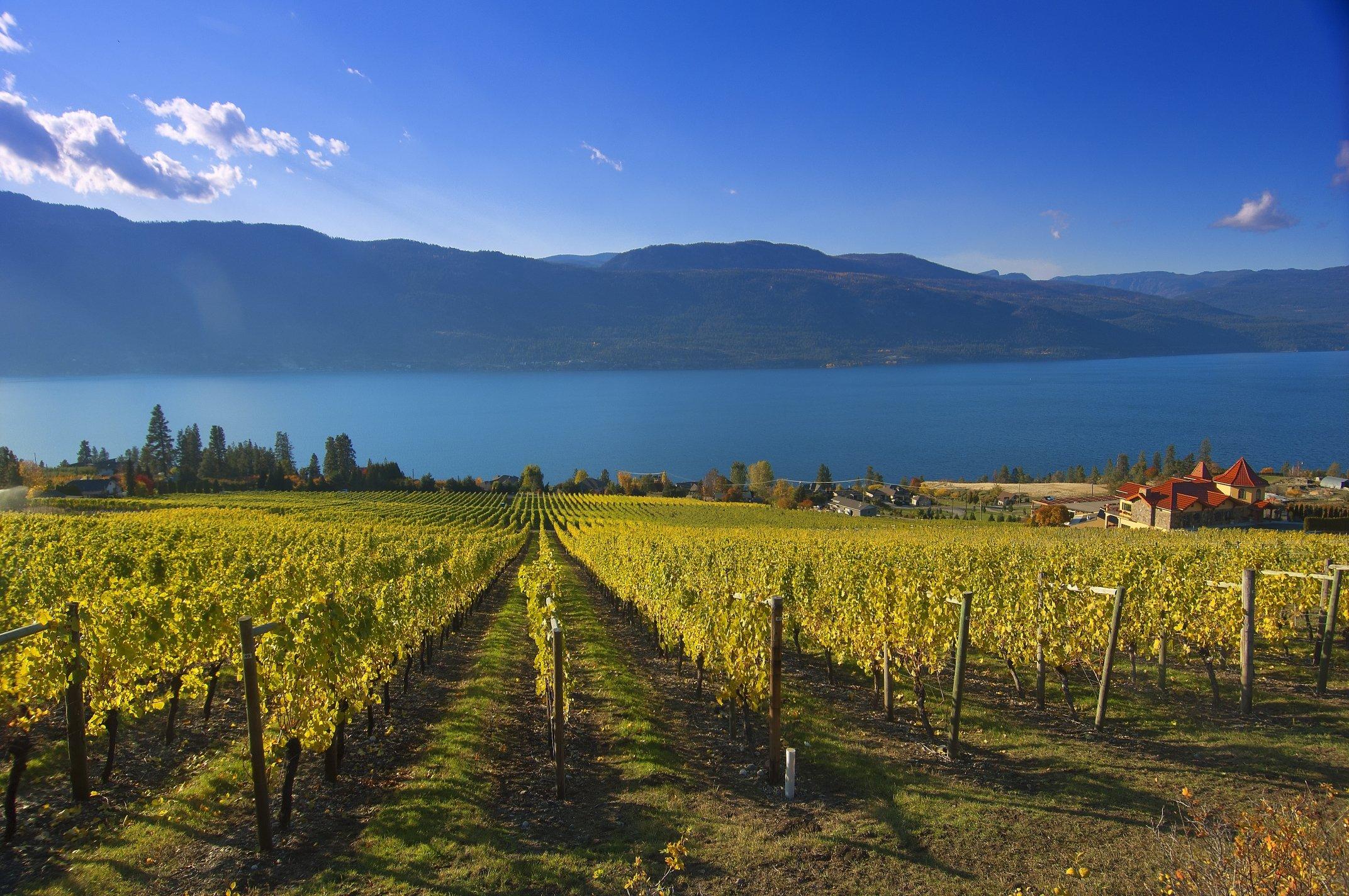 Toast The Okanagan Wine Tours