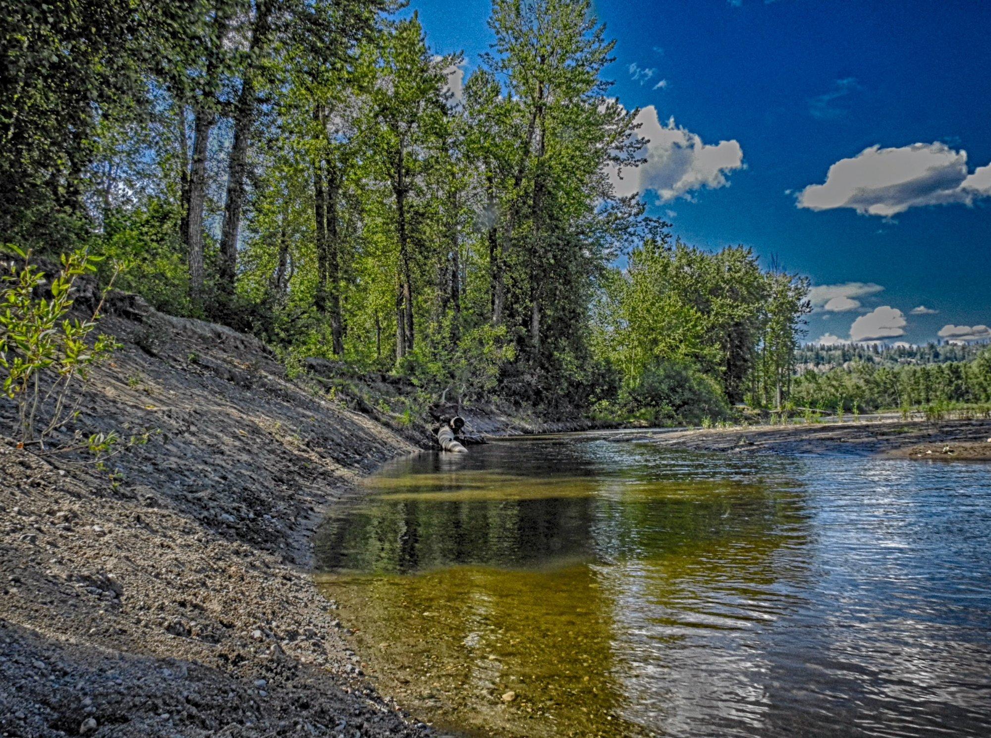 Cottonwood Island Nature Park