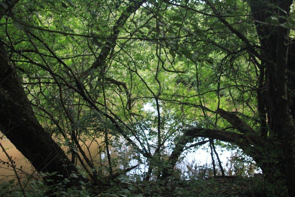 Mud Lake Conservation Park