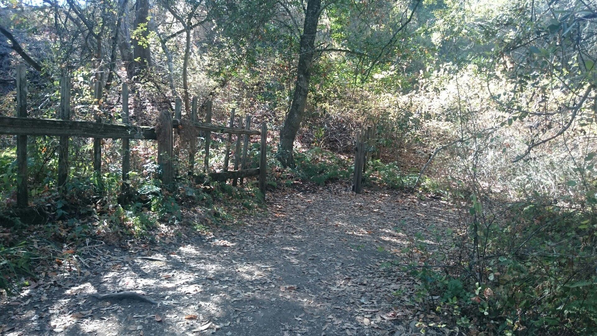 San Andreas Fault Trail