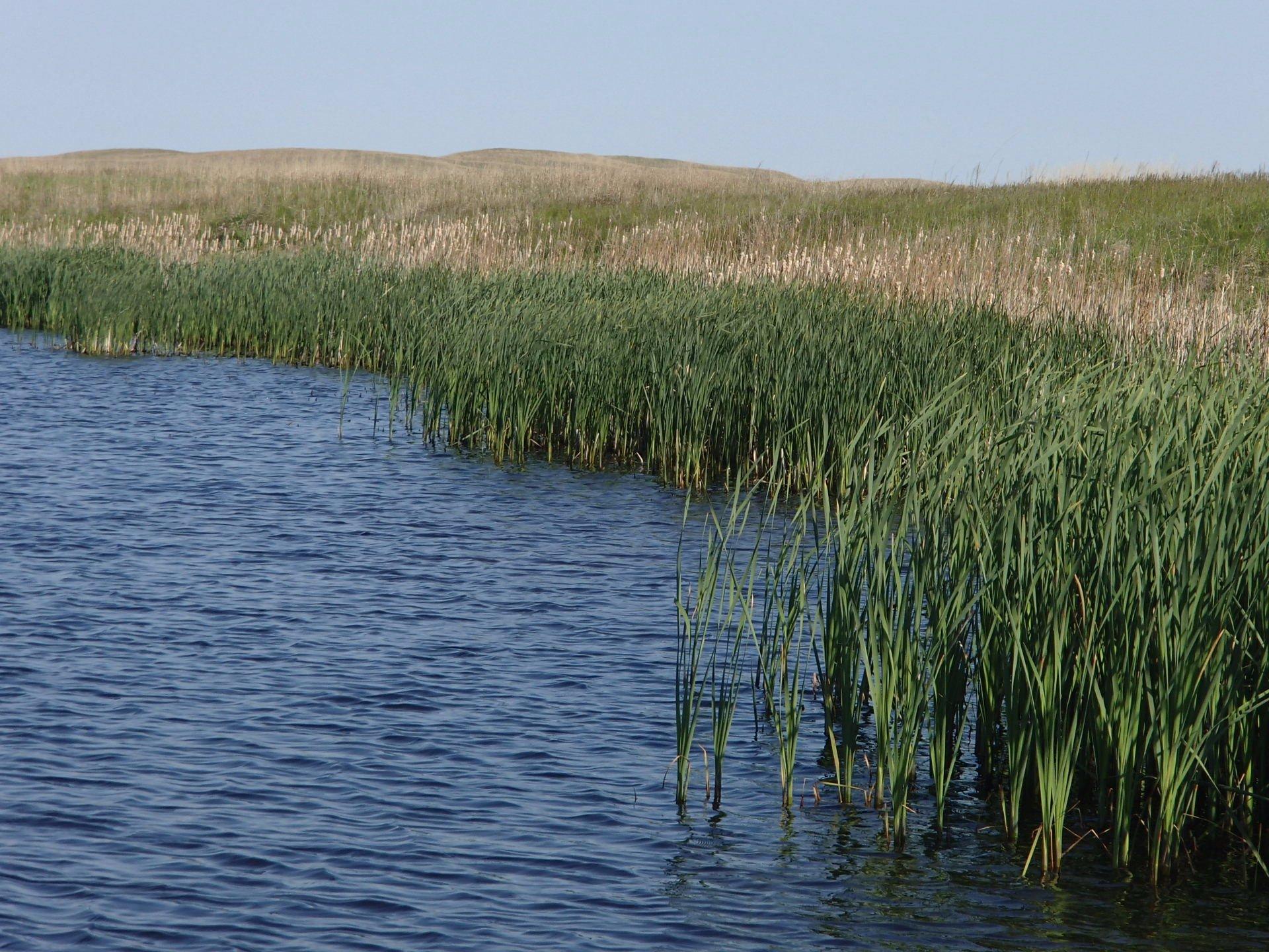 Yellowthroat Wildlife Management Area