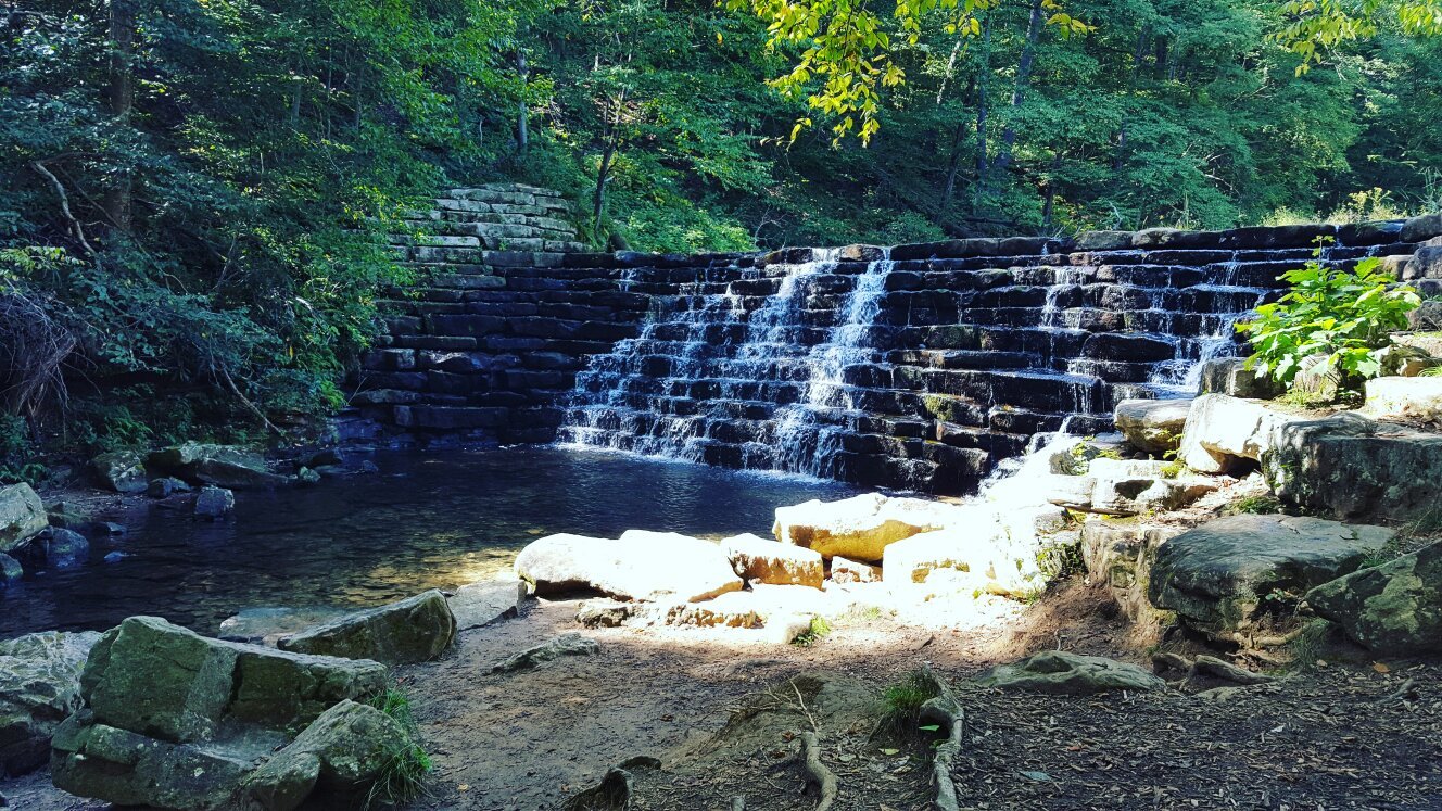 Laurel Hill State Park