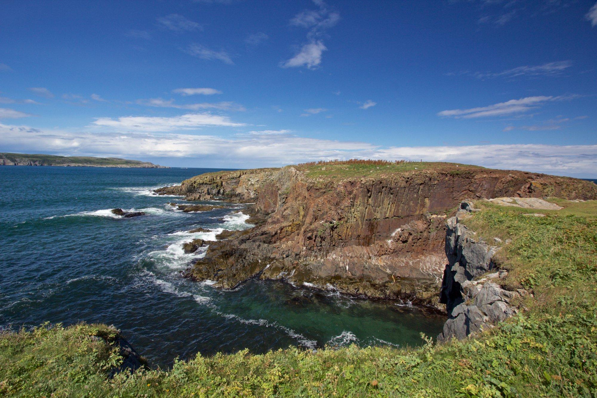 The Elliston Puffin Site