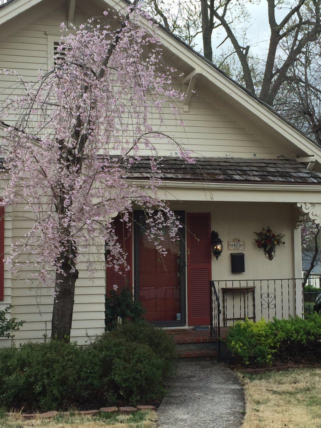 Marquette Cottage