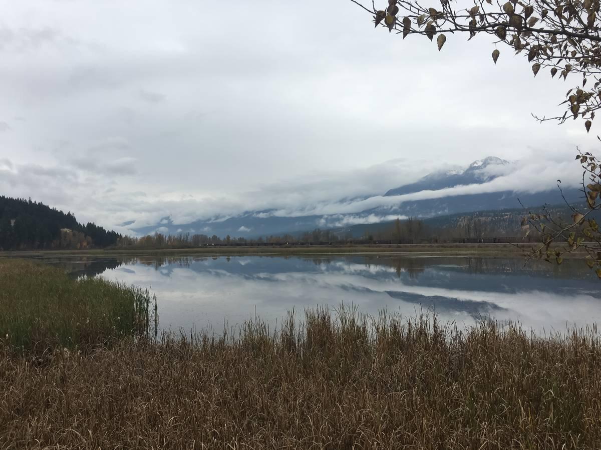 Reflection Lake