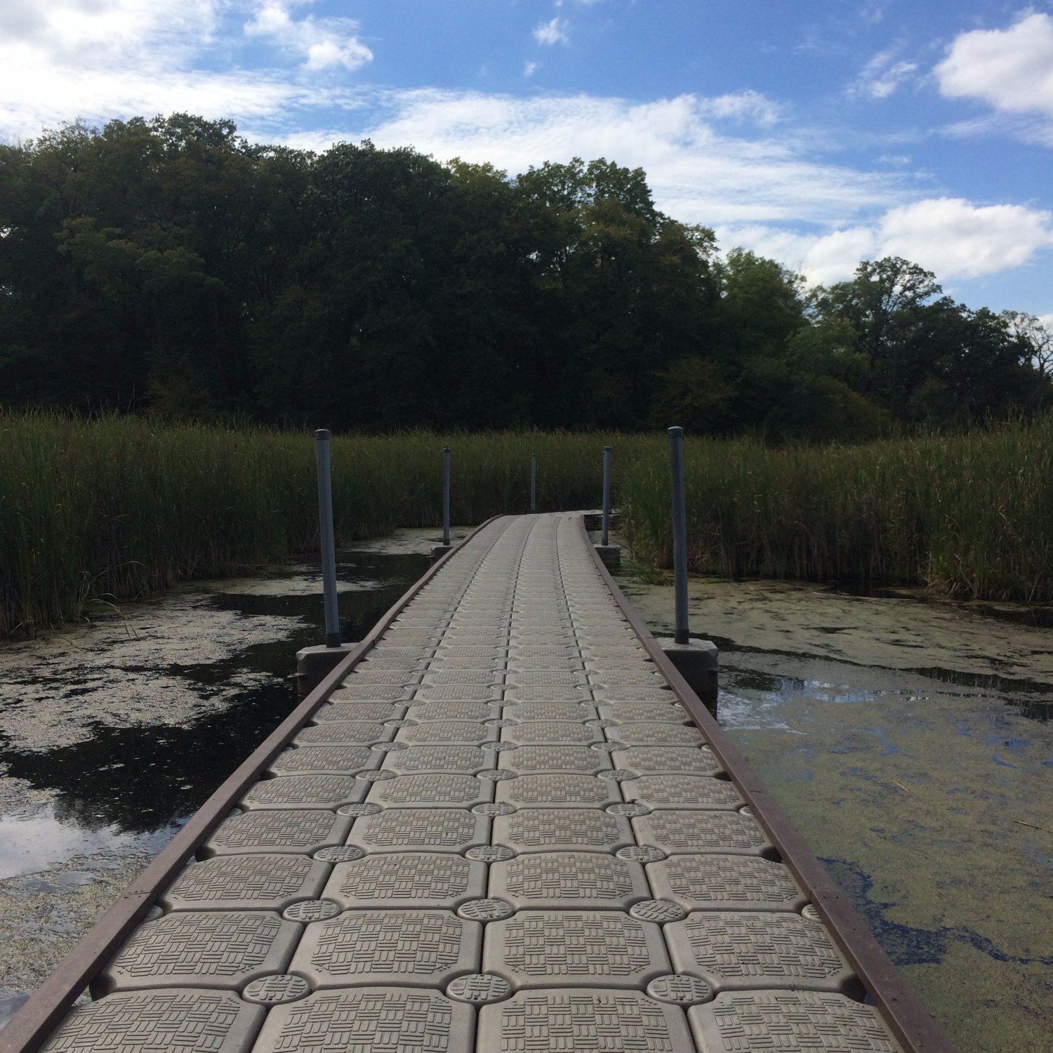 Lowry Nature Center