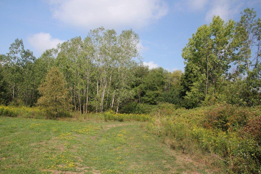 Wainfleet Bog Conservation Area