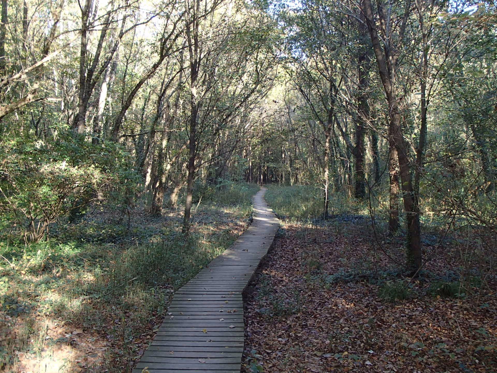 Clyde Shepherd Nature Preserve